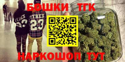 индика Волжский