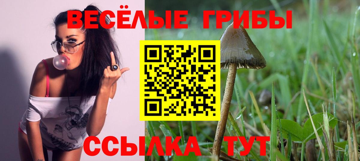 Псилоцибиновые грибы прущие грибы Белово