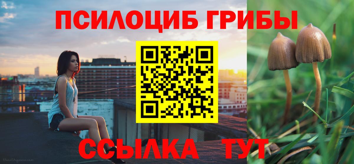 Псилоцибиновые грибы Magic Shrooms  Вход с VPN  Белово 